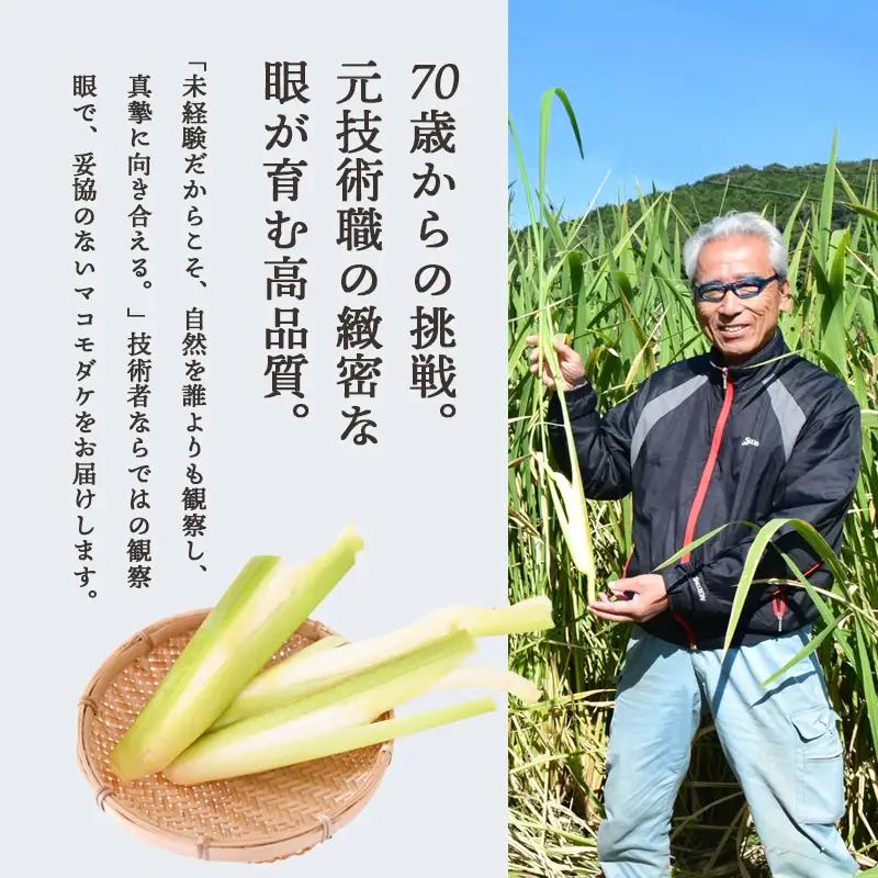 マコモダケ 500g | 栽培期間中農薬不使用