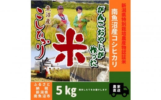 【令和７年産】特別栽培米　がんこおやじが作った南魚沼産コシヒカリ 白米5kg