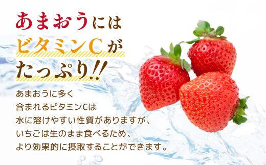 【2027年2月から3月発送予定】先行予約! 数量限定 福岡産 あまおう ichigo strawberry itigo 約1120g 約280×4パック セット いちご 苺 イチゴ フルーツ 果物 