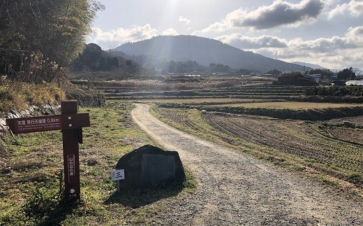 山の辺の道です