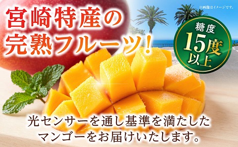 《2025年発送先行予約》【期間・数量限定】太陽のタマゴ 5Lサイズ 1玉