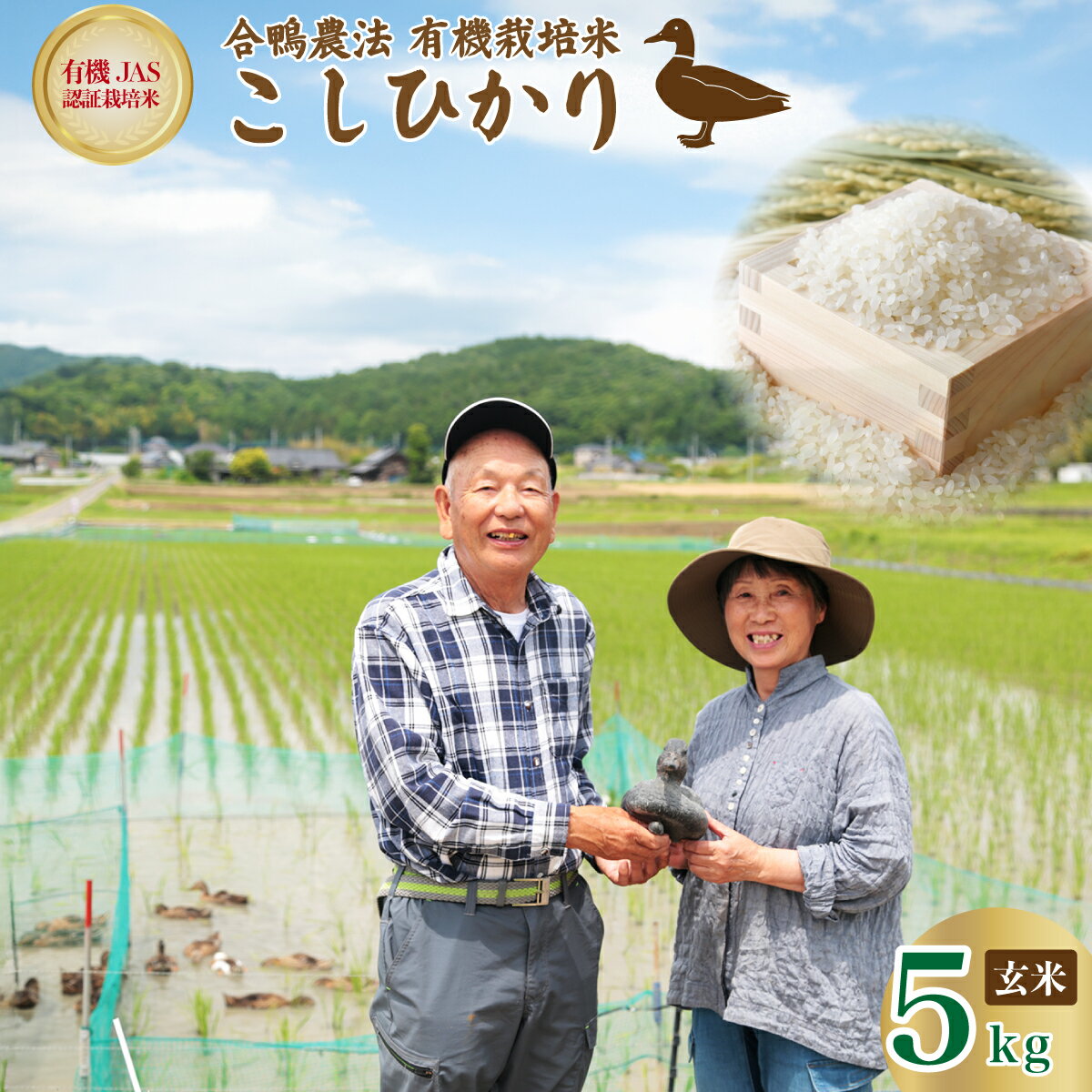 【ふるさと納税】 コシヒカリ 合鴨常陸青龍米 玄米5キロ | こしひかり 有機栽培米 有機栽培 オーガニック 農薬・化学肥料不使用 お米 玄米 地元産 青龍米 合鴨農法 コシヒカリ ブランド米 ツヤツヤ もっちり ふっくら 甘み 茨城県 常陸太田市