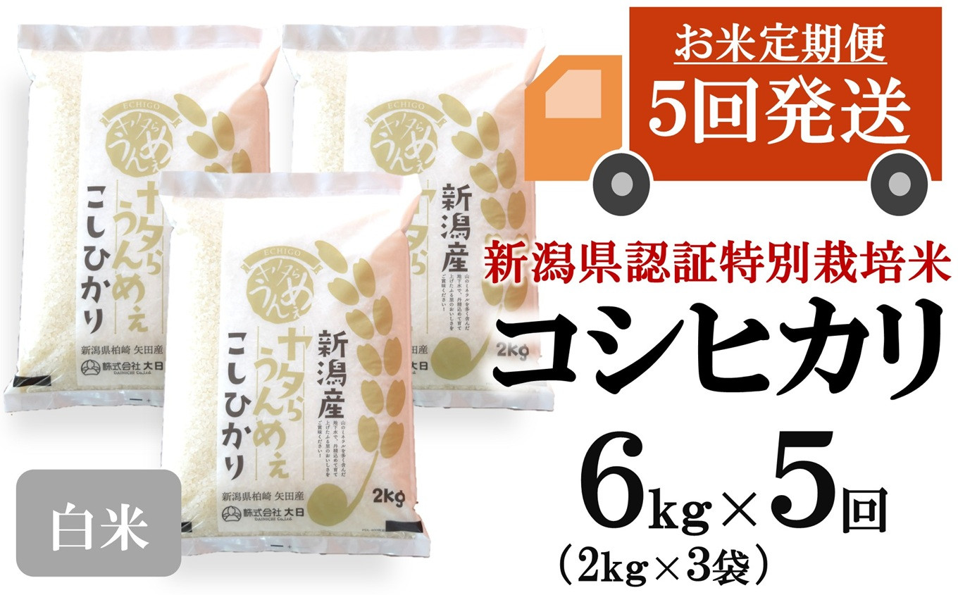 
            【先行予約・令和7年産新米・5ヶ月定期便】コシヒカリ 白米 6kg（2kg×3袋）×5回（計 30kg）ヤタらうんめぇお米 水田環境鑑定士在籍[Y0508]
          