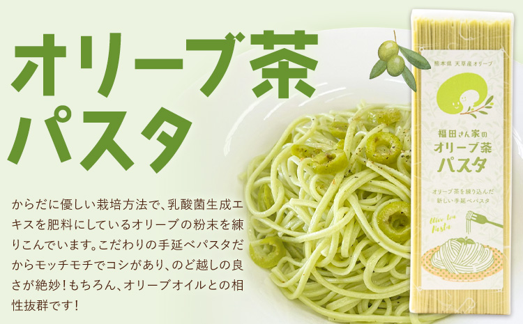 オリーブ 茶 パスタ そうめん 10袋 セット 福田さん家のオリーブ園。《30日以内に出荷予定(土日祝除く)》熊本県 苓北町 手延べ 麺 麺類 乾麺 素麺 乳酸菌 天草 送料無料---reihoku_