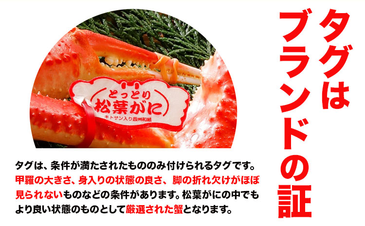 【ふるさと納税】カニ 松葉ガニ 1kg超え 活き 1杯 《1月・2月発送》 SOO合同会社 鳥取県 八頭町 送料無料  蟹 かに 姿 鍋 ズワイガニ  ズワイ蟹 ボイル 松葉ガニ