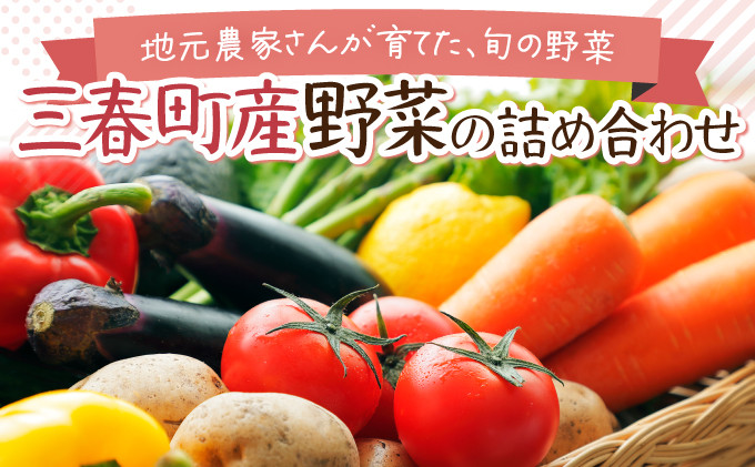 
【旬の野菜】三春町産野菜の詰合せ　【07521-0007】
