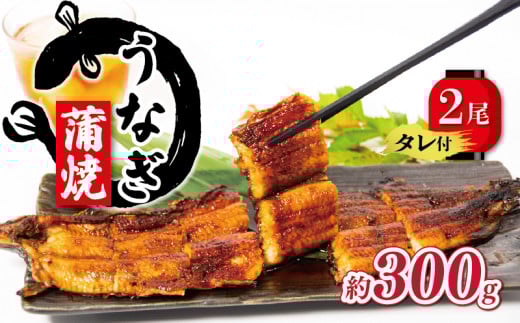 【土用の丑の日】 国産 うなぎ 蒲焼 150g×2尾 約300g タレ付 ( グルメ うなぎ 冷凍 鰻 新鮮 たれ  土曜 丑の日 真空パック おすすめ 滋賀県 竜王 送料無料 )