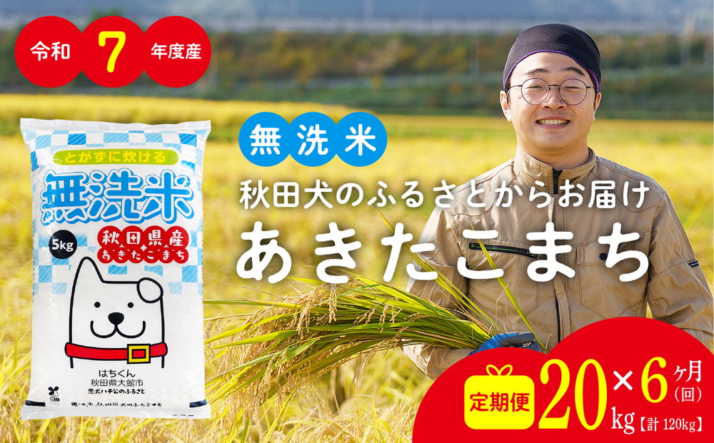 【定期便6ヶ月】令和7年産 秋田県産米「あきたこまち（無洗米）」 20kg（5kg×4袋）【真正ファーム】