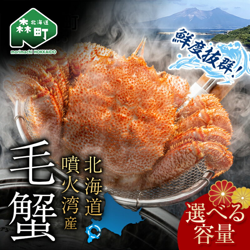 【ふるさと納税】【先行予約】北海道・噴火湾産冷凍ボイル毛ガニ 選べる容量＜海鮮問屋　株式会社　瑞宝＞ かに カニ 蟹 がに 森町 北海道 毛蟹 毛かに 毛カニ mr1-0951var