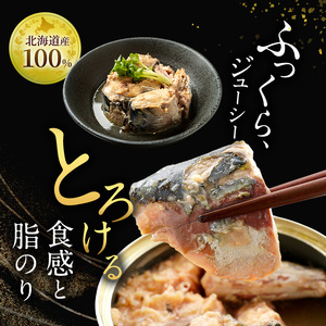 北海道オホーツク枝幸産 さば水煮 缶詰170g×24個 水揚げ当日フレッシュパック！［海洋食品］【 さば サバ サバ缶 缶詰 新鮮 惣菜 保存 長期 加工食品 魚貝 魚介 北海道 オホーツク 枝幸 】