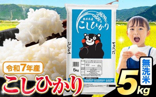 令和7年産  無洗米 こしひかり 5kg《7-14日以内に出荷予定(土日祝を除く)》熊本県産 ふるさと納税 無洗米 無洗米 精米 米 こめ ふるさとのうぜい コシヒカリ コメ お米 おこめ