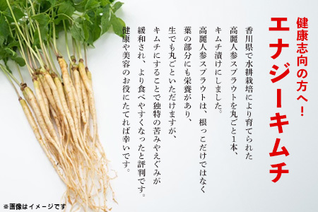 【10カ月定期便】一子相伝 秘伝のエナキム(高麗人参スプラウト・キムチ)1袋1本入(H104145)