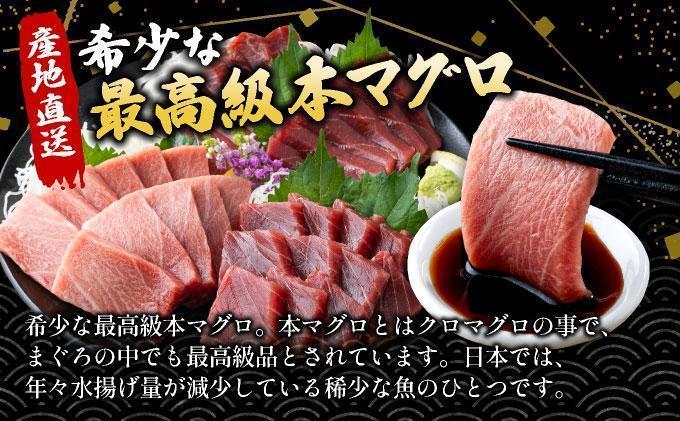 【数量限定】石垣島産 天然本マグロ 大トロ 約400g ヤエスイ マグロ船直送 ＜2025年6月下旬より発送＞ | 産地直送 大トロ 大とろ 国産 まぐろ 鮪 天然 赤身 魚 お刺身 本まぐろ マグロ