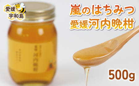 国産純粋はちみつ みかん蜂蜜 嵐 の はちみつ 天然 100％ 愛媛 河内晩柑 みつばち屋嵐 非加熱 蜂蜜 希少 国産蜂蜜 天然蜂蜜 天然はちみつ みかん蜂蜜 みかんはちみつ 蜜柑 みかん mikan ピュア ハニー パン ジャム 国産 宇和島 ﾊﾁﾐﾂ ﾊﾁﾐﾂ ﾊﾁﾐﾂ ﾊﾁﾐﾂ ﾊﾁﾐﾂ ﾊﾁﾐﾂ ﾊﾁﾐﾂ ﾊﾁﾐﾂ ﾊﾁﾐﾂ ﾊﾁﾐﾂ ﾊﾁﾐﾂ ﾊﾁﾐﾂ ﾊﾁﾐﾂ ﾊﾁﾐﾂ ﾊﾁﾐﾂ ﾊﾁﾐﾂ ﾊﾁﾐﾂ ﾊﾁﾐﾂ ﾊﾁﾐﾂ ﾊﾁﾐﾂ ﾊﾁﾐﾂ ﾊﾁﾐﾂ ﾊﾁﾐﾂ ﾊﾁﾐﾂ ﾊﾁﾐﾂ ﾊﾁﾐﾂ ﾊﾁﾐ