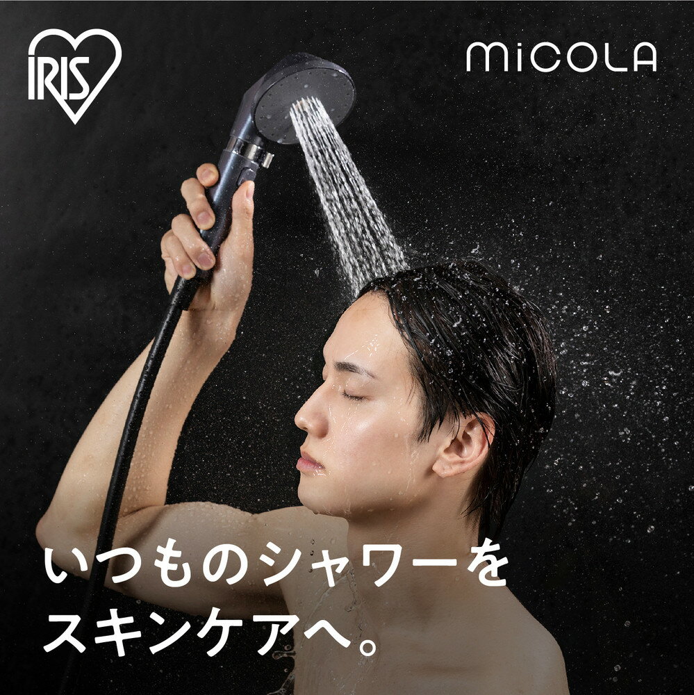 【ふるさと納税】ウルトラファインバブルクレンジングシャワーヘッド SHJ-M01-H ダークパール