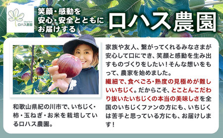 いちじくプリンセス ロハス農園《8月上旬-11月末の間で出荷》和歌山県 紀の川市 無花果 イチジク 【配送不可地域あり】
