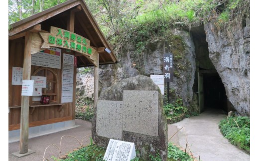 鍾乳洞への入り口はこちら。入り口周辺は雪割草の群生地花。1月には小さな可愛い花が咲き始めます。
