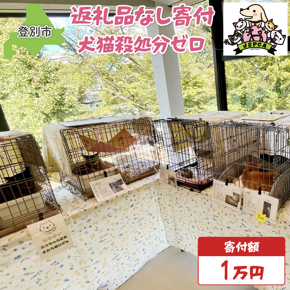 日本動物愛護協会殺処分低減活動への寄附【犬猫殺処分ゼロ】（返礼品なし）【MRI-AiD】【寄付額：1万円】pr-0902-4