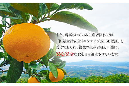 ご家庭用『菅本果実園』のご家庭用みかん★約5kg(2S-2Lサイズ)《11月下旬-12月末頃出荷》 予約受付中 フルーツ 秋 旬★熊本県玉名郡玉東町 全国にファン多数！エコファーマー菅本さんのみかん♪