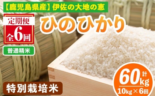 isa517-A 【定期便6回】 ＜普通精米＞選べる精米方法！令和7年産 鹿児島県伊佐産 特別栽培ひのひかり(計60kg・10kg×6ヵ月) 国産 白米 精米 伊佐米 お米 米 生産者 ひのひかり 定期便 【Farm-K】