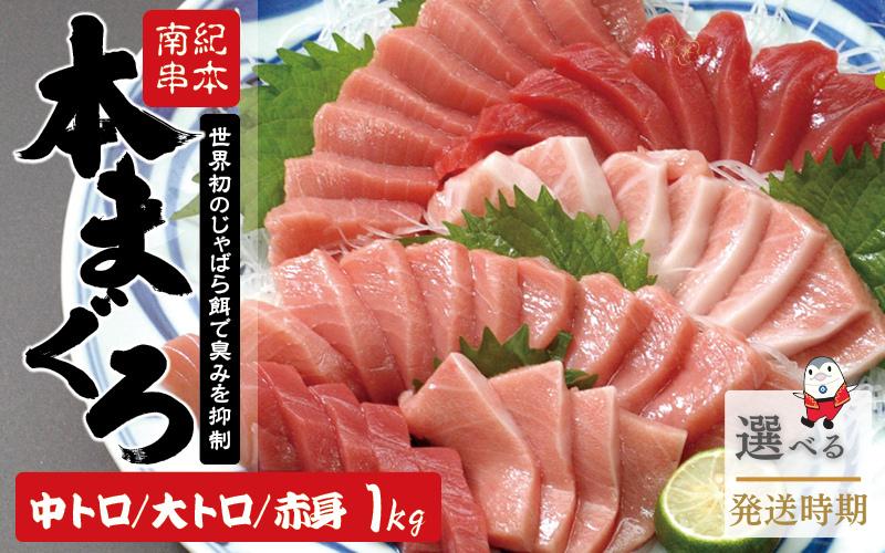 
                  【発送月が選べる！】マグロ まぐろ 本マグロ 刺身 赤身 中トロ 大トロ 3種 1kg 養殖 本まぐろ クロマグロ 冷凍 さしみ 刺し身 ネギトロ ねぎとろ 漬け丼 海鮮丼 まぐろたたき 海鮮セット 柵 年末 年始 正月【nks105B-cho】
                