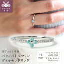 【ふるさと納税】 リング レディース ジュエリー アクセサリー ダイヤモンド 0.07ct パライバトルマリン 0.09ct プラチナ ギフト プレゼント 専用ケース付 鑑別書付 保証書付 k122-077