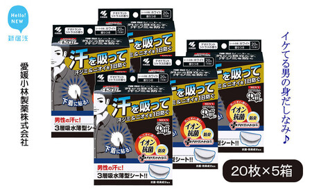 汗脇パッド 男性用 メンズ Riff リフ あせワキパット デオドラントシトラス ホワイト 20枚 （10組）×5箱 合計100枚 【小林製薬】