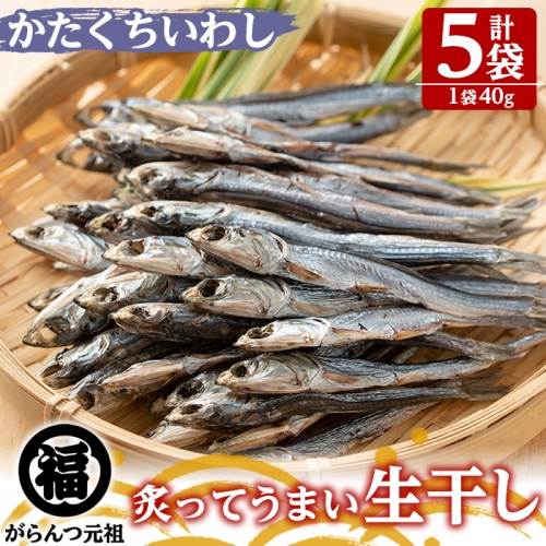 鹿児島県阿久根市産生干し「かたくちいわし」(計5袋・1袋40g)国産 魚介 干物 イワシ 鰯 がらんつ干物【マルフク川畑水産】a-12-154