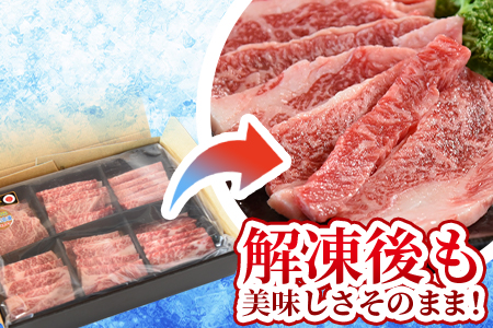 ＜3D冷凍宮崎牛焼肉食べ比べセット＞(合計600g)6肩ロース、バラ、モモ、ウデ、ロース、ヒレ各100gずつ！【MI089-my】【ミヤチク】