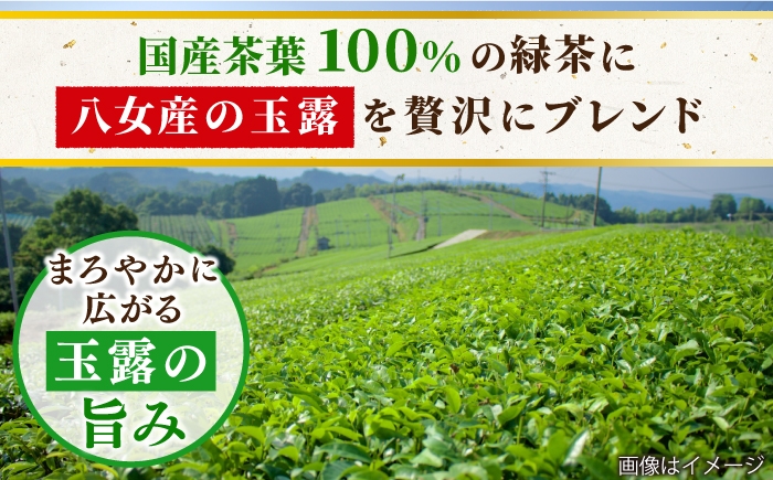 緑茶 ペットボトル 500ml × 24本