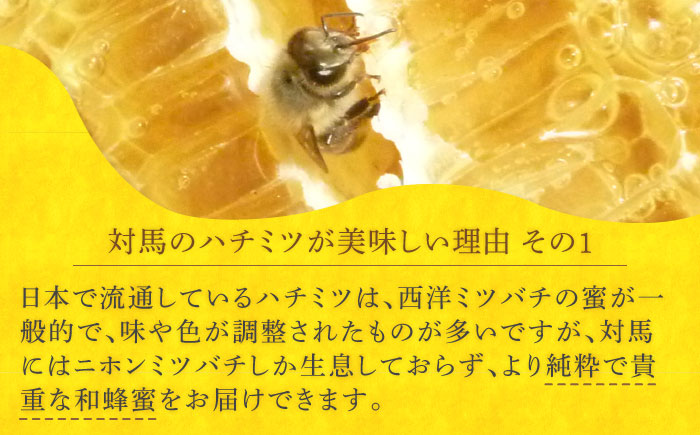 【全3回定期便】 対馬 和蜂 はちみつ 300g×1本 《対馬市》【特定非営利活動法人 對馬次世代協議会（対馬コノソレ）】 蜂蜜 ハチミツ 日本ミツバチ ニホンミツバチ [WAM046]
