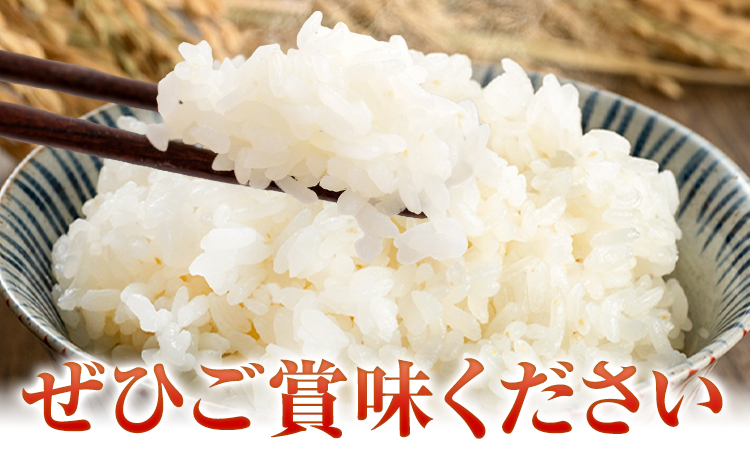 ひらかわ清流米 5kg×1袋 生産物直売所ひらかわ屋 お米 白米 鹿児島県 鹿児島県産 さつま町 精米 ごはん