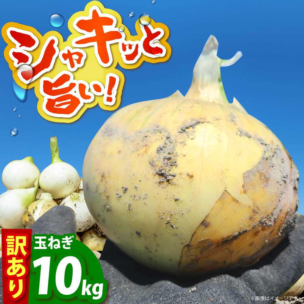 【ふるさと納税】【先行予約】 訳あり 新玉ねぎ 10kg 【えぐちファーム】 [HDE002] / 食品 野菜 たまねぎ 不揃い タマネギ 玉葱 玉ネギ 小玉 中生 晩生 佐賀県 江北町