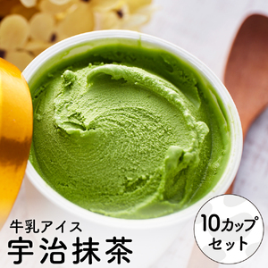 【累計1.8万個突破！】アイスクリーム詰め合わせ【まっ茶（10個）】012AE04N.／アイス スイーツ デザート 牛乳アイス ミルク にゅうにゅう工房 冷凍 セット 冷菓