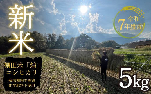 ＜令和7年産新米＞天日干し自然乾燥米5kg（玄米の希望も可） ALPFO001