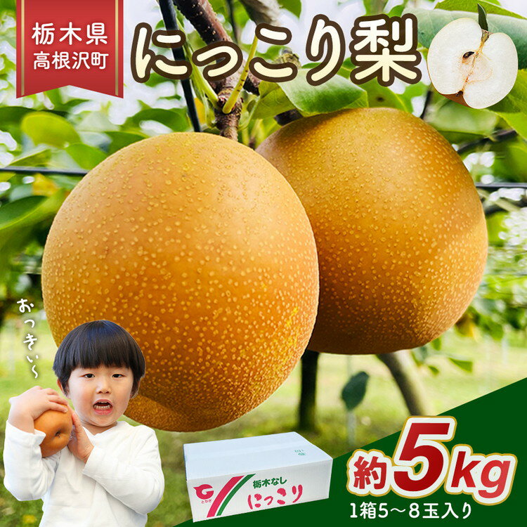 【ふるさと納税】高根沢町産にっこり梨（約5kg・5～8玉入り）| 梨 なし ナシ 果物 くだもの フルーツ 甘い 秋の味覚 産地直送 期間限定 季節限定 季節商品 送料無料 国産 栃木県 高根沢町※2026年10月～発送