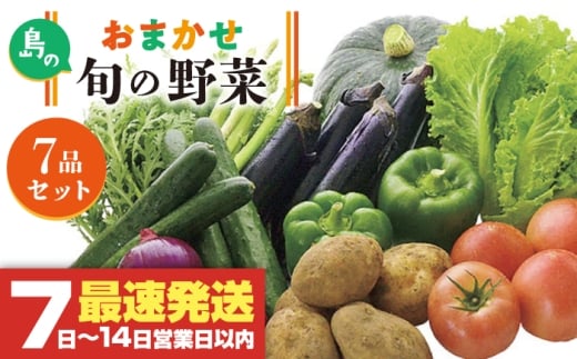 旬の野菜 7品セット 《壱岐市》【壱岐市農業協同組合】[JBO001] 野菜 ベジタブル 食材 詰め合わせ 産地直送 野菜セット グルメ 春 夏 秋 冬 旬 サラダ 冷蔵 夏野菜 スムージー   10000 10000円 1万円