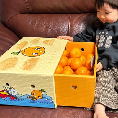 不知火 約3.5kg(15個前後)【1577691】