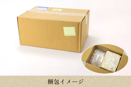 【2026年先行予約】菌床きのこ栽培キット ひらたけ 1株入り《10月上旬から順次発送》栽培キット 自家栽培
