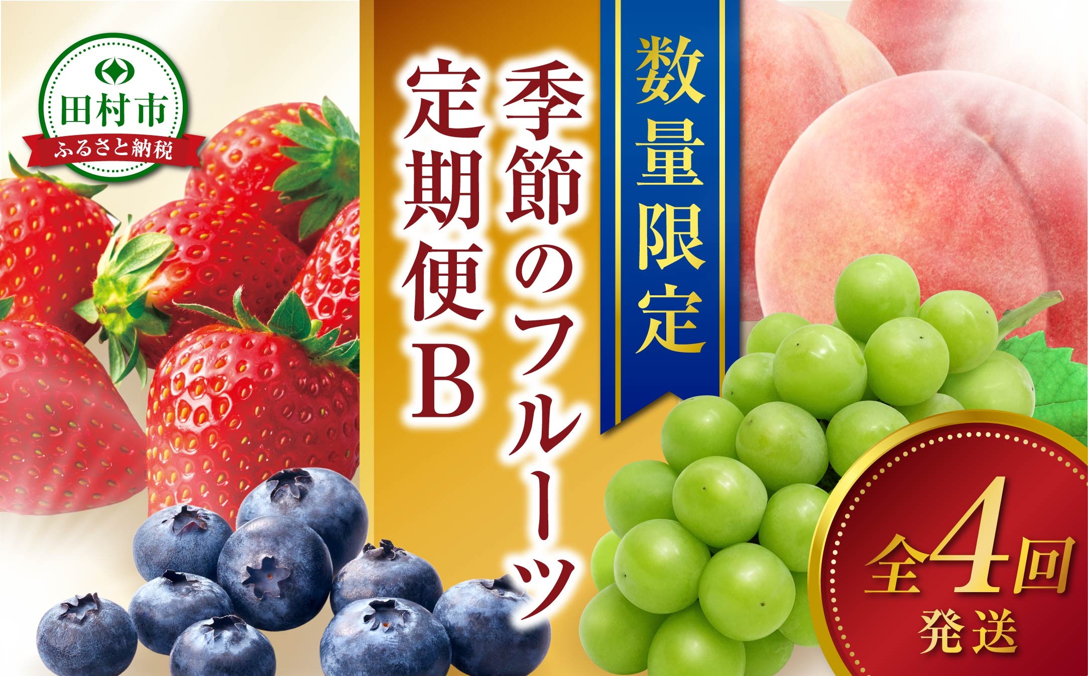 
            ＼ 旬の時期お届け！【全4回】 2026年1月スタート ／ フルーツ定期便B 農家直送 自分へのご褒美 数量限定 旬 季節 果物 フルーツ セット いちご 苺 冷凍 ブルーベリー 桃 ぶどう シャインマスカット 人気 福島県 田村市
          