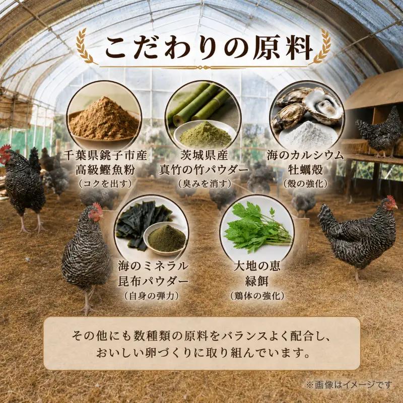 卵 朝採れ 平飼い 自然卵 60個 割れ補償付き