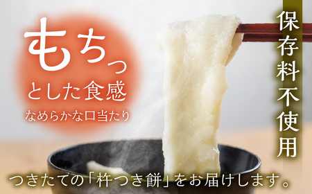 先行予約【2026年11月中旬頃～3月下旬発送】飛騨の生切りもち 4種とたまり醤油セット【87-6】