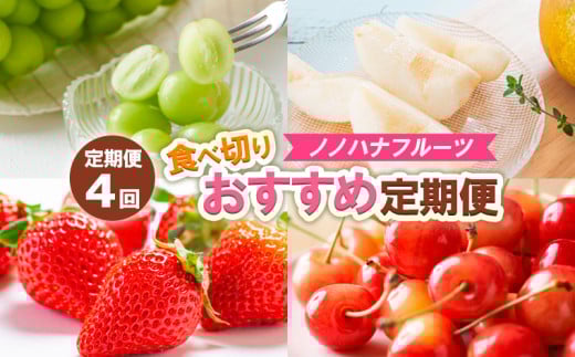 【定期便4回】ノノハナフルーツ　食べ切りおすすめ定期便 FY25-811