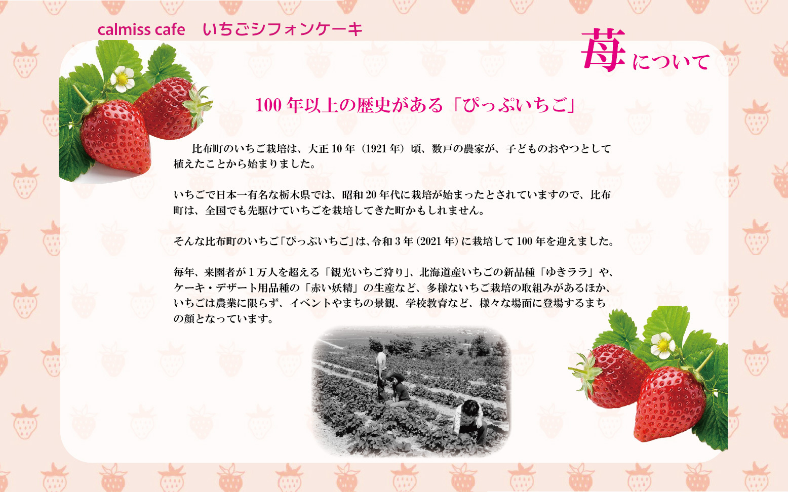 Calmiss Cafe　いちごシフォンケーキ