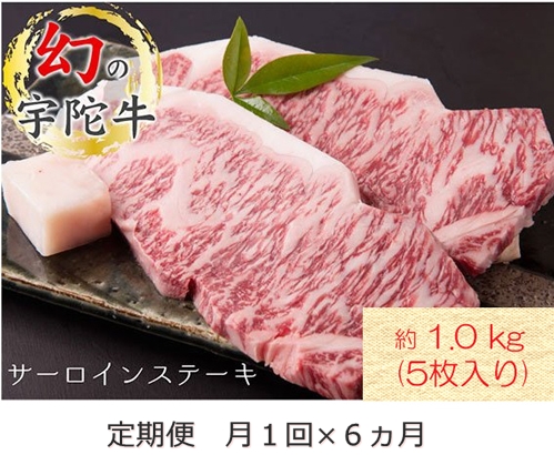 定期便 ６ヶ月 宇陀牛 黒毛 和牛 サーロイン ステーキ 約 1kg ( ５枚入 ) 冷蔵 月１回 ／ 山繁 キャンプ バーベキュー アウトドア 贈答 父の日 母の日 奈良県 宇陀市 お中元 贈答用 贈り物 暑中見舞い お土産