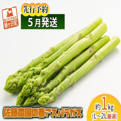 【ふるさと納税】アスパラガス 先行予約 春アスパラガス 約1kg L～2L 厳選 佐藤農園 アスパラ グリーンアスパラ 野菜 春野菜 春 旬 旬の野菜 朝どれ 産地直送 2025年 2025 先行 予約 青森 青森県 冷蔵 冷蔵配送 5月 6月発送　お届け：2025年5月10日～2025年6月5日