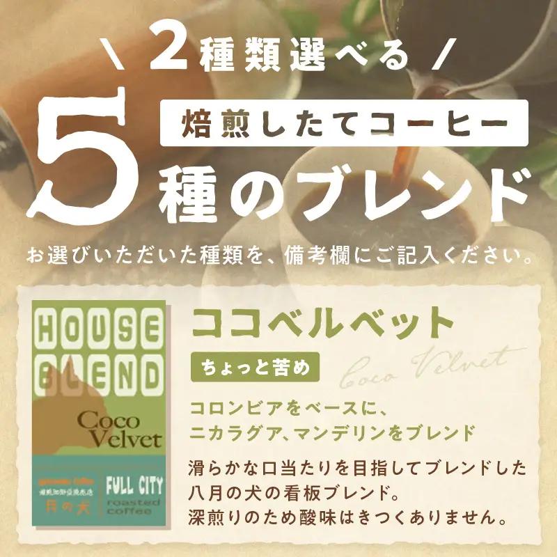 コーヒー豆 150gx2種 選べる飲み比べ コーヒー豆