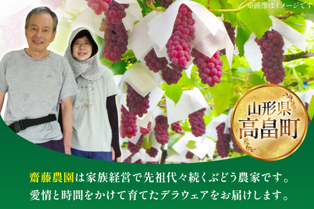【期間限定発送】【2027年発送】 デラウェア 約2kg (約12～16房)