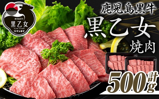 
            鹿児島黒牛 黒乙女 和牛モモ焼肉(計500g・250g×2P) 黒毛和牛 黒牛 鹿児島県産【ナンチク】A966
          