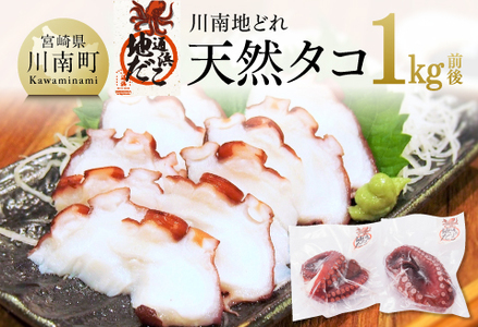 漁協直送！天然タコ（湯がき済）小分けで1kg前後 【 海鮮 真たこ 刺身 マリネ 魚介 九州 宮崎 川南 地どれたこ 】